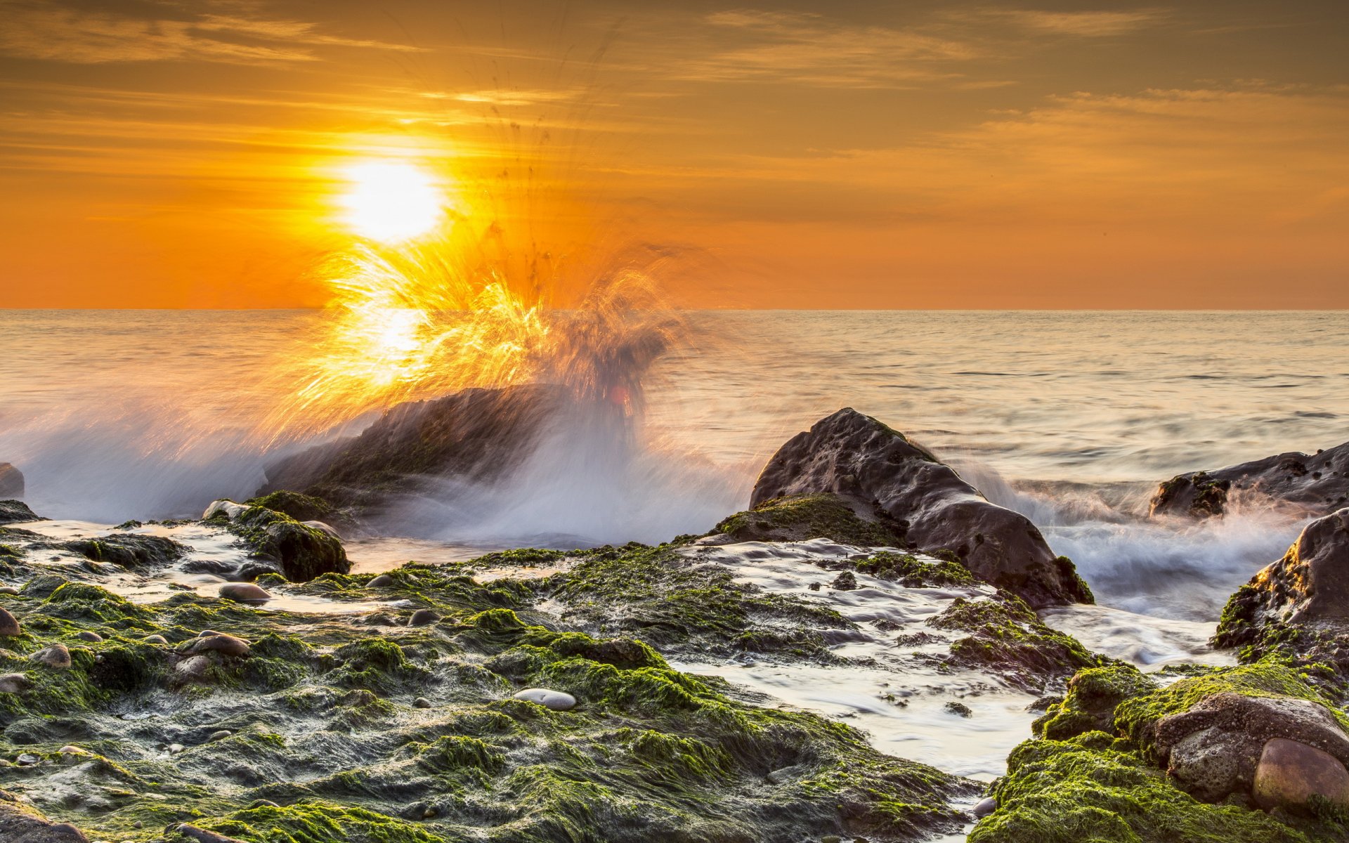 ea beach stones algae waves spray sun