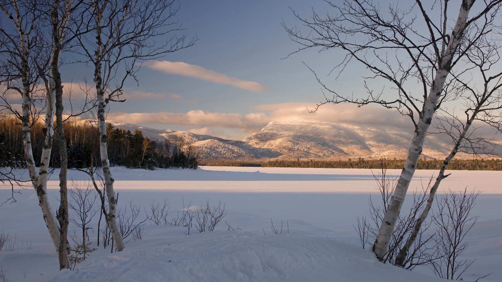 ciel montagnes neige hiver arbres forêt coucher de soleil nuages bouleau