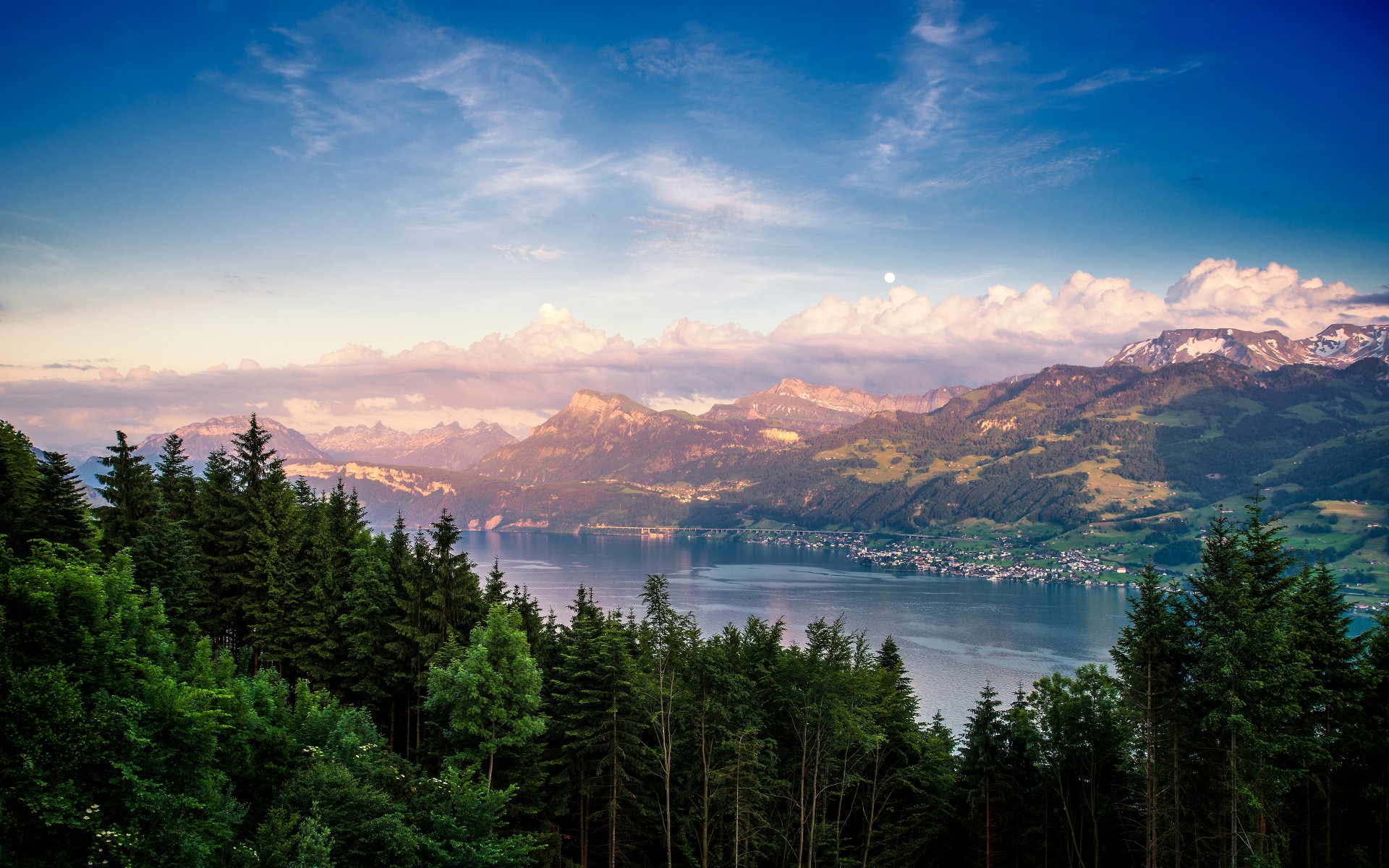 schweiz zürcher see berge see wald natur