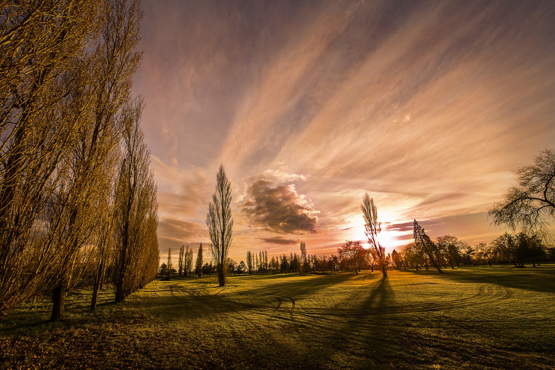 natura pioppi cielo nuvole prato erba