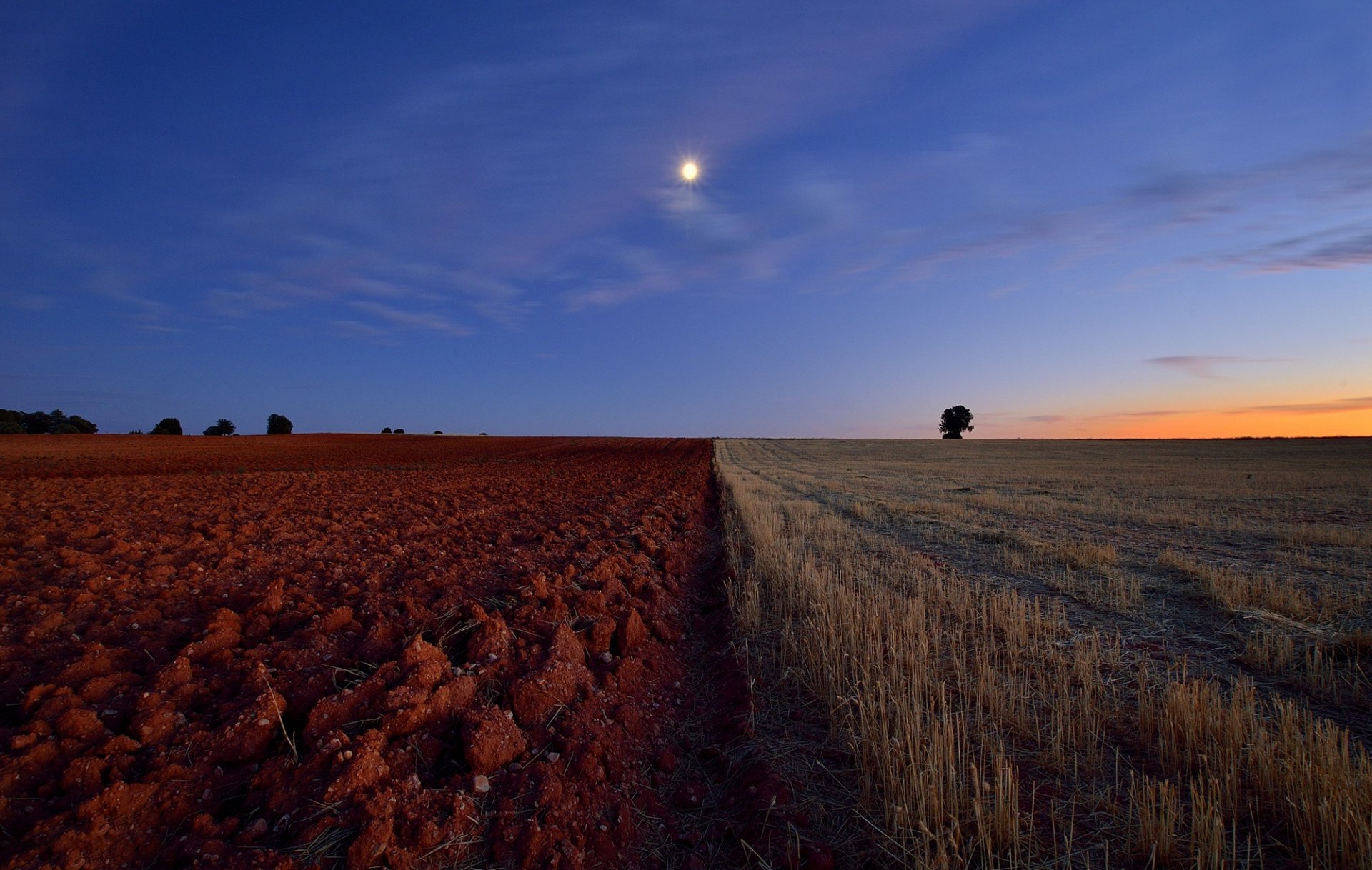 campo arado horizonte