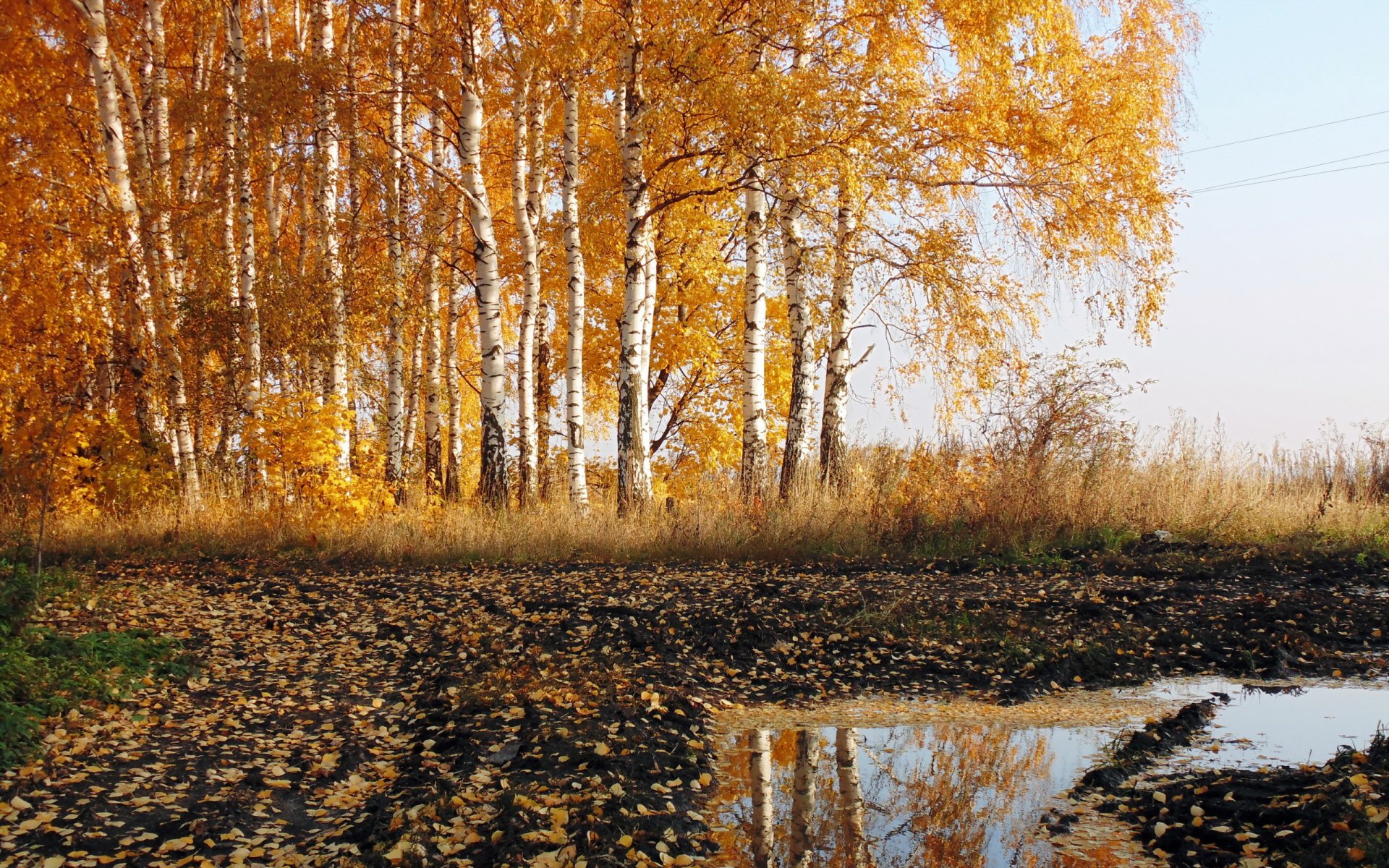 carretera otoño naturaleza