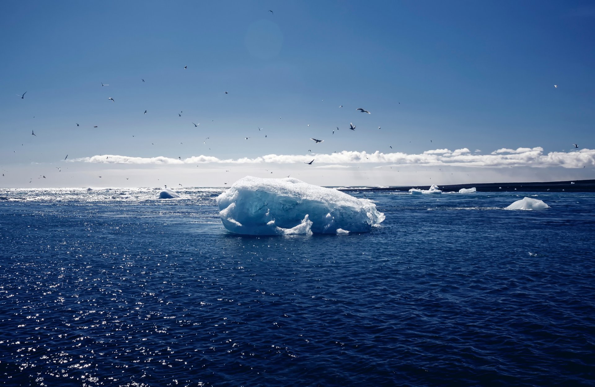 jökulsárlón lagoon islandia nieve aves