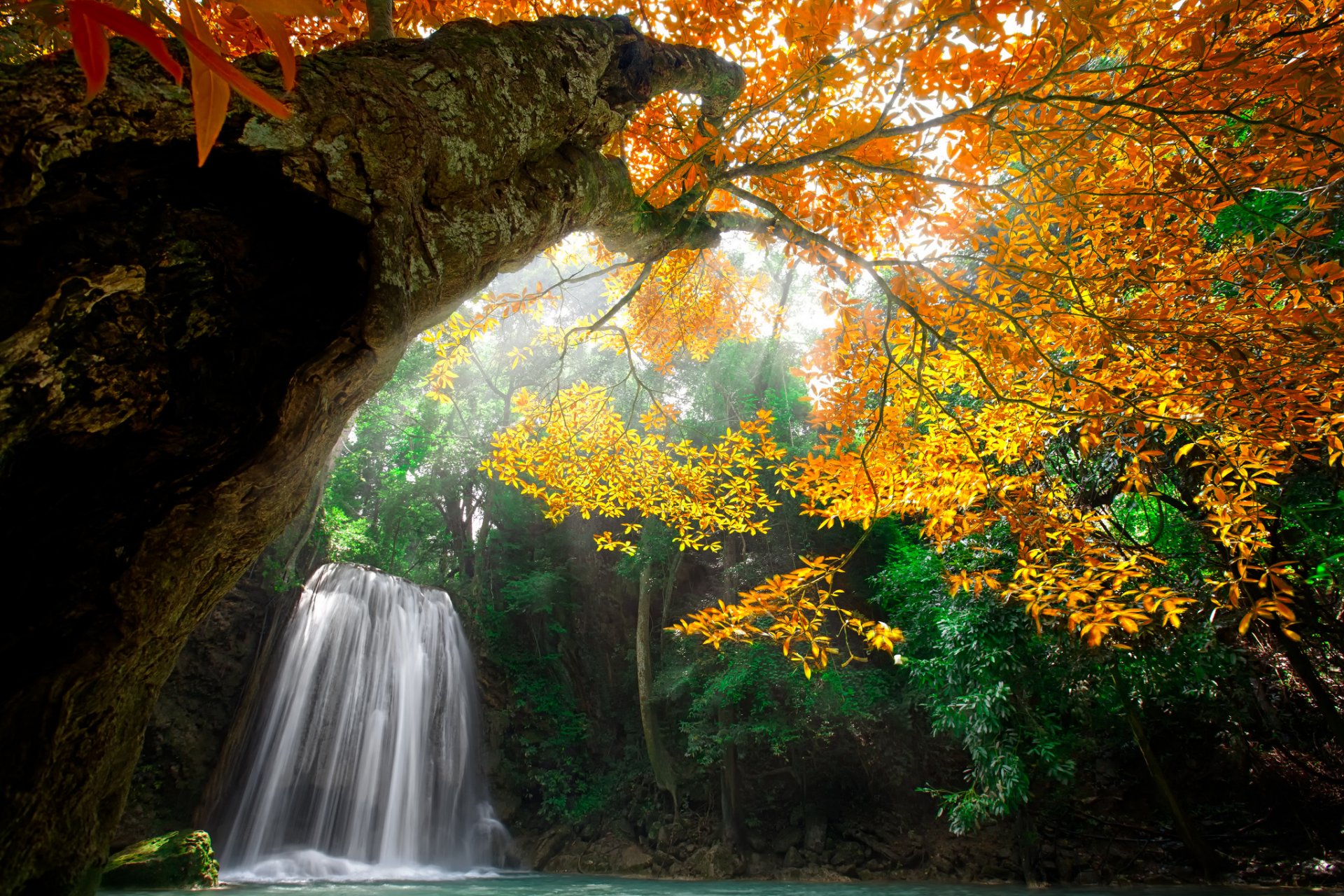 naturaleza agua cascada bosque parque árboles hojas colorido otoño caída colores agua