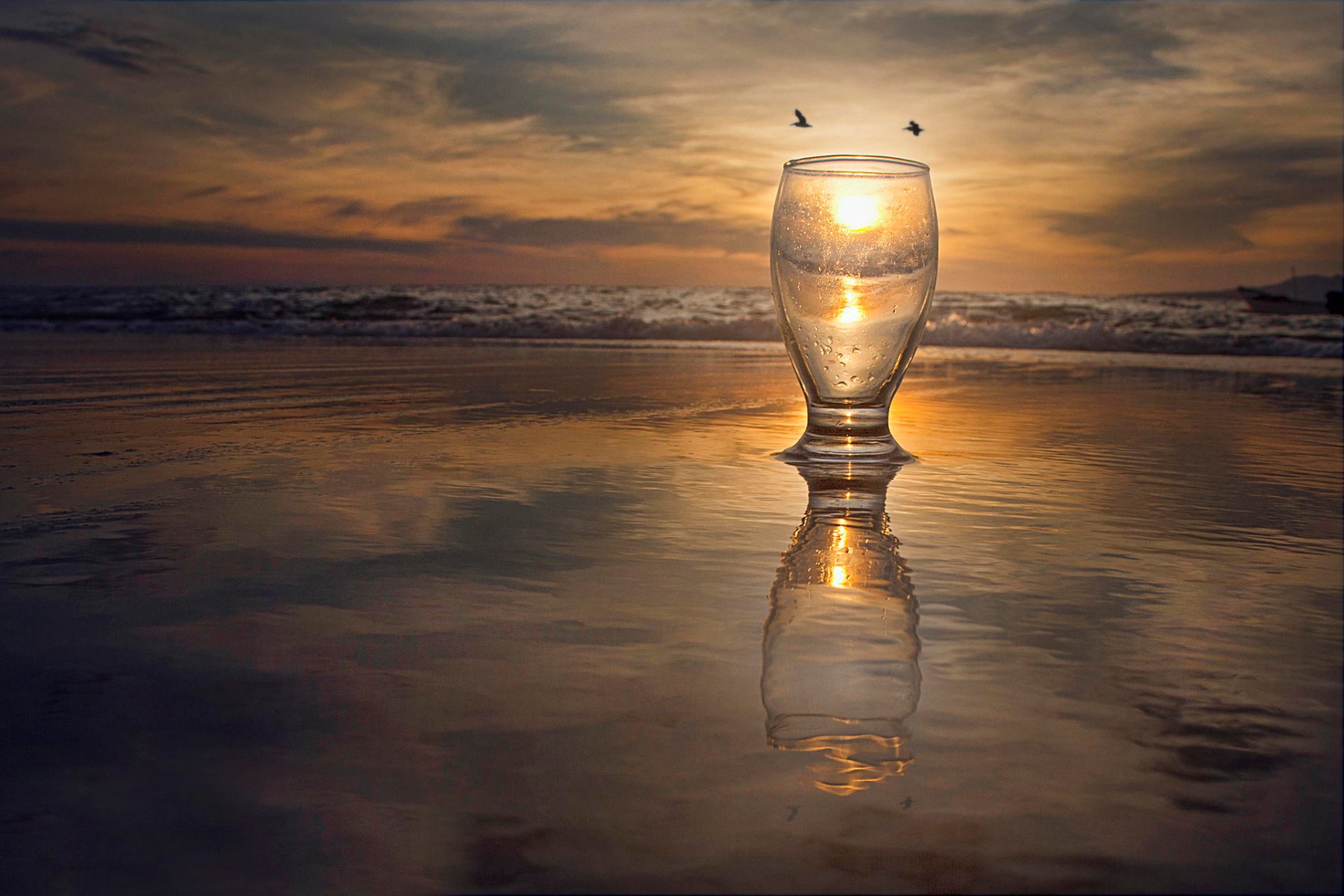 meer brandung glas sonne vögel reflexion