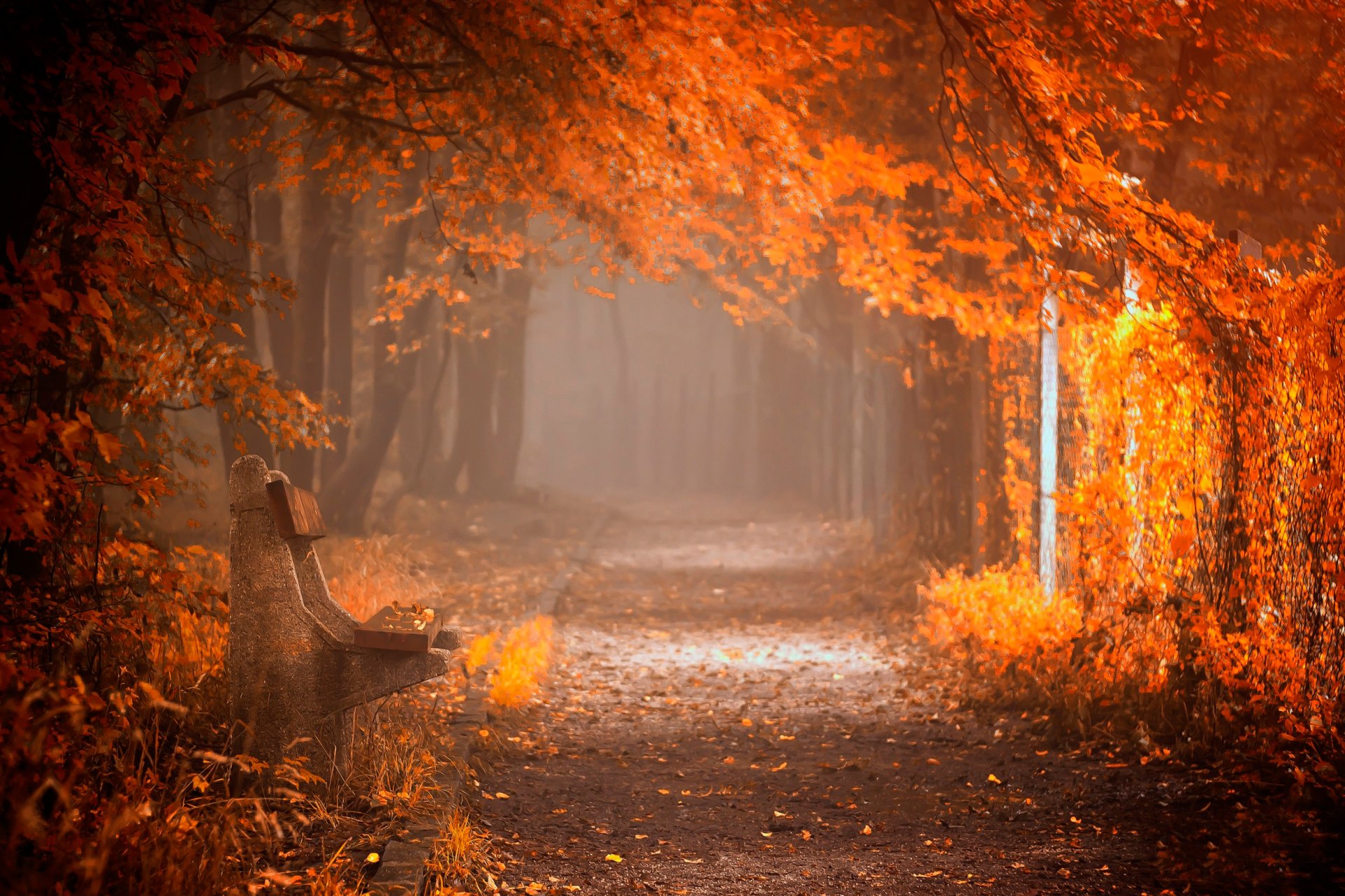 park bench autumn