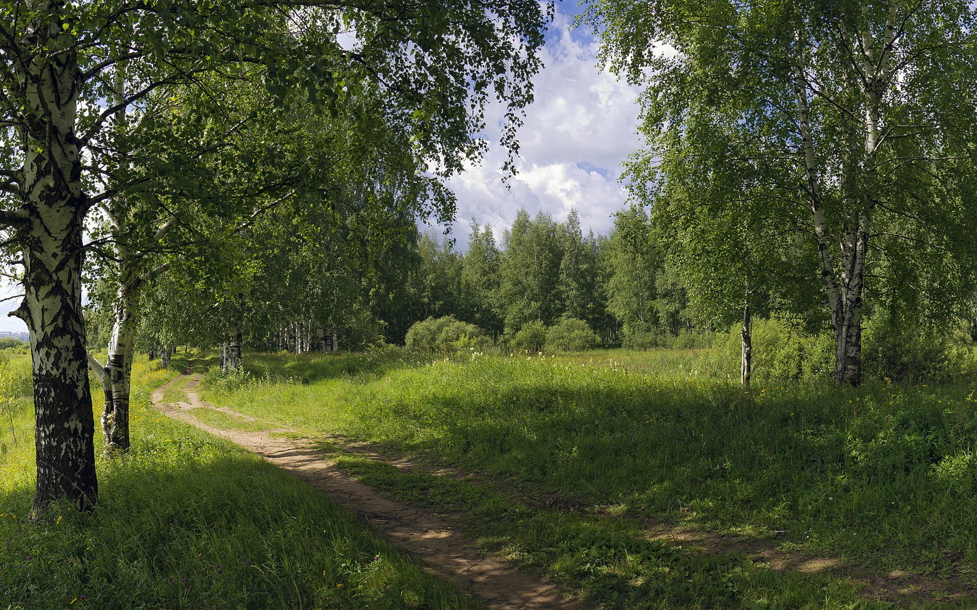 straße sommer natur