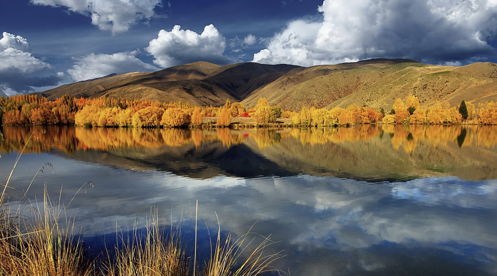 autumn hills tree lake clouds reflection