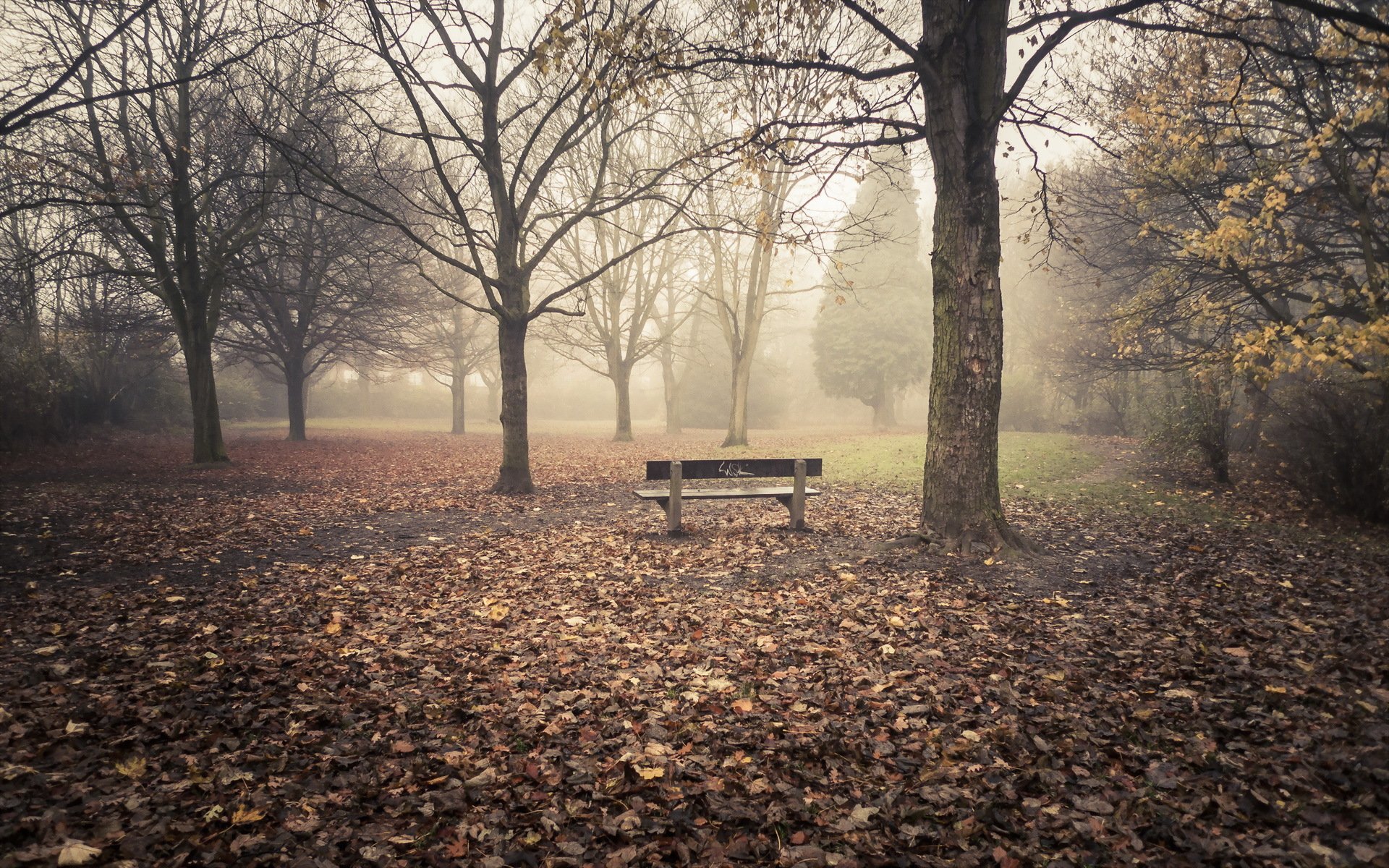 park jesień natura ławka