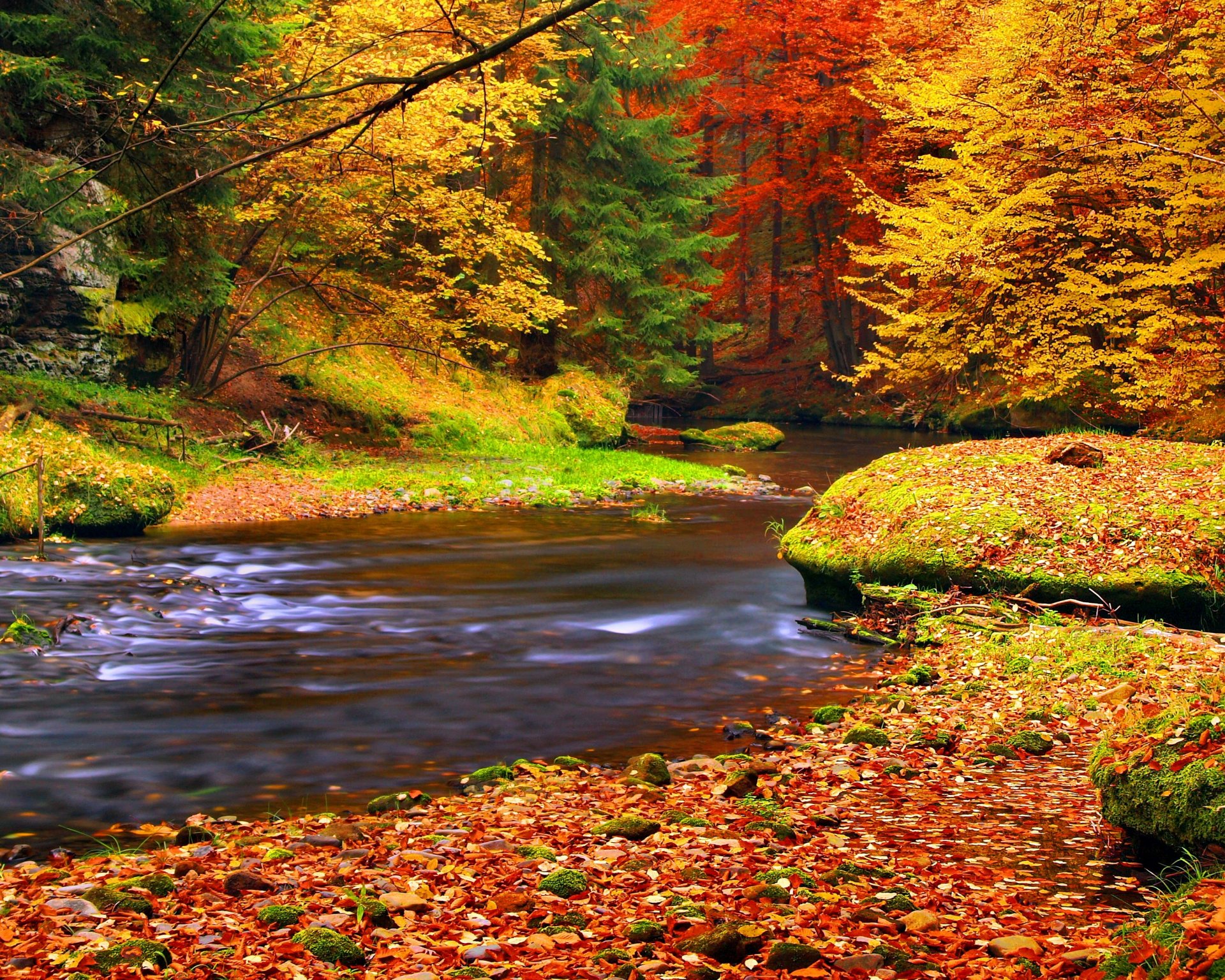 automne feuilles forêt rivière