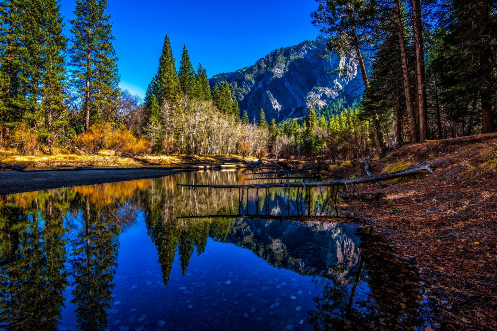 góry rzeka brzeg drzewa szczyty park narodowy yosemite park narodowy yosemite usa