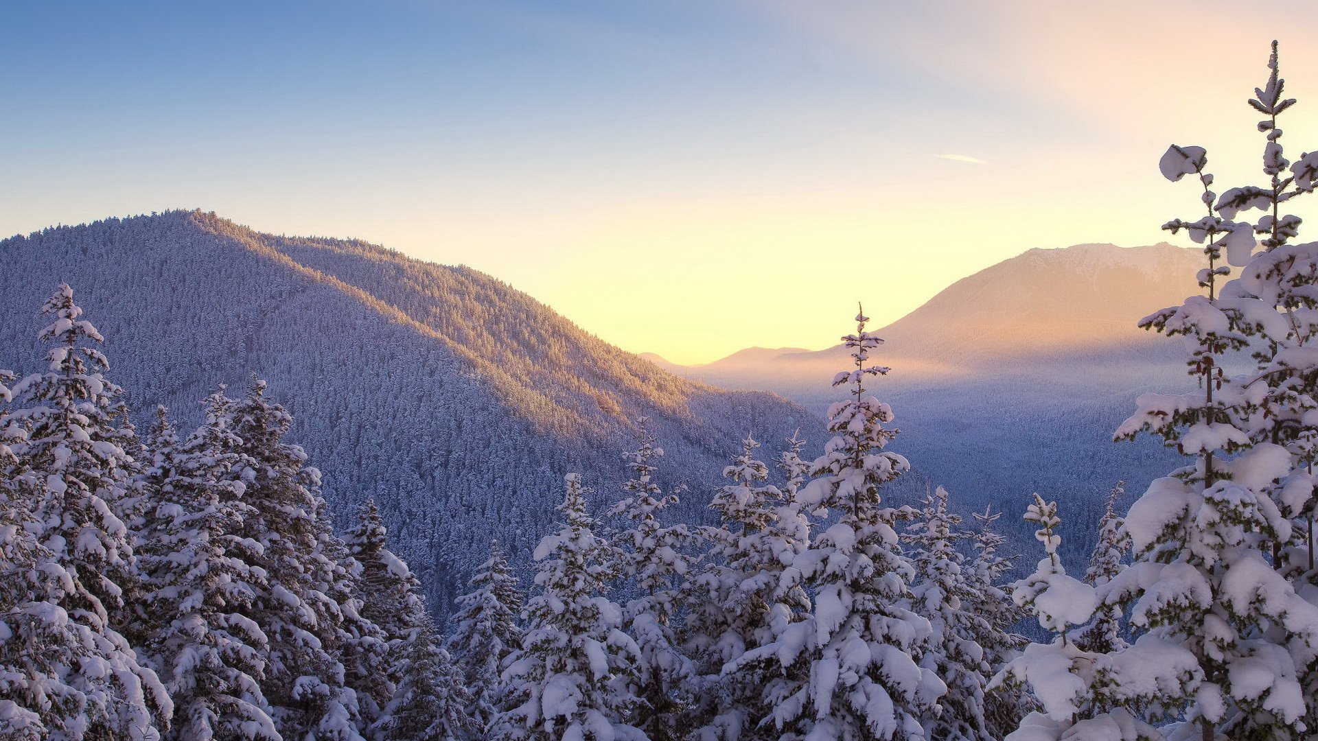 inverno neve foresta alberi cielo montagne