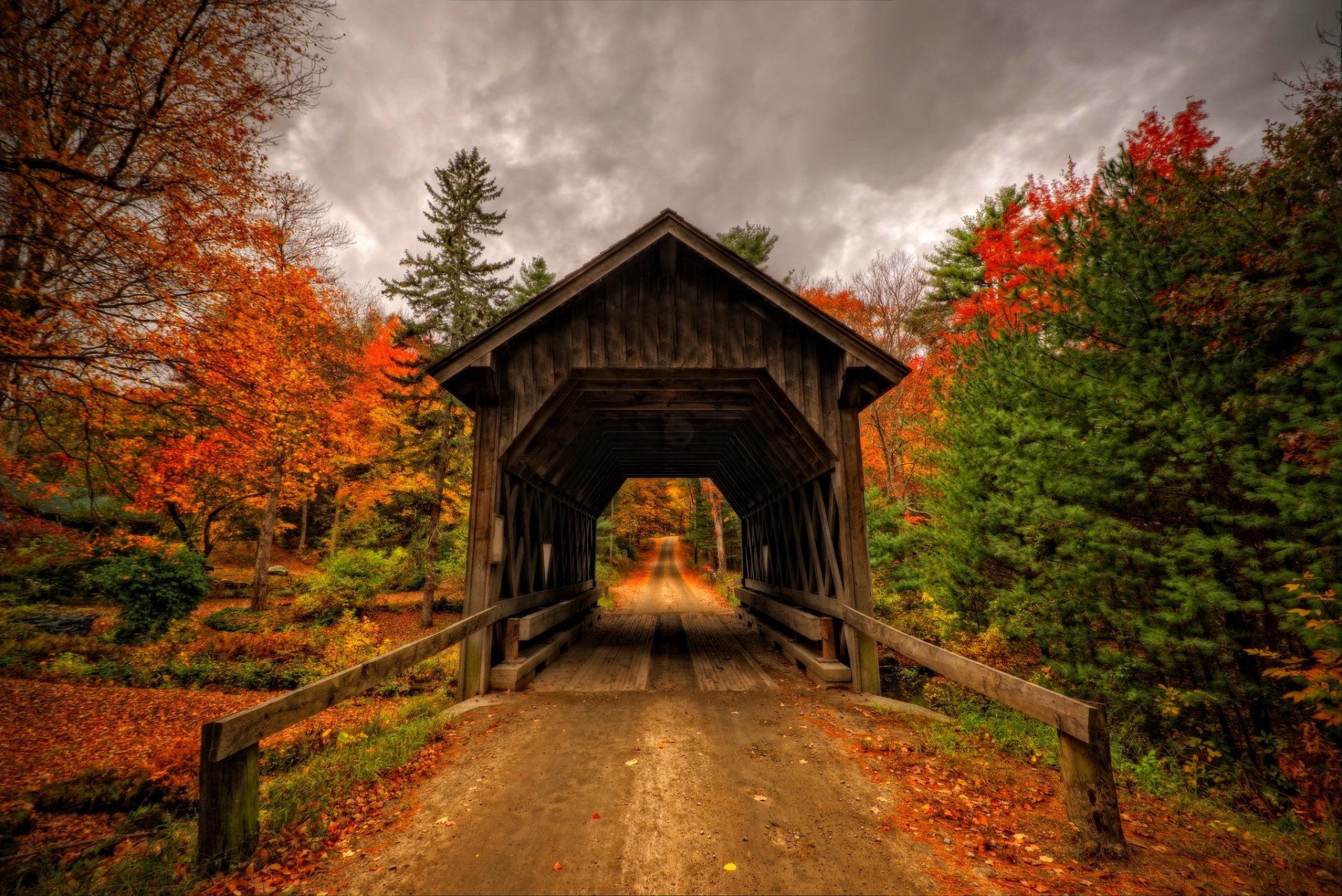 hojas parque árboles bosque otoño paseo naturaleza ver caída puente vista