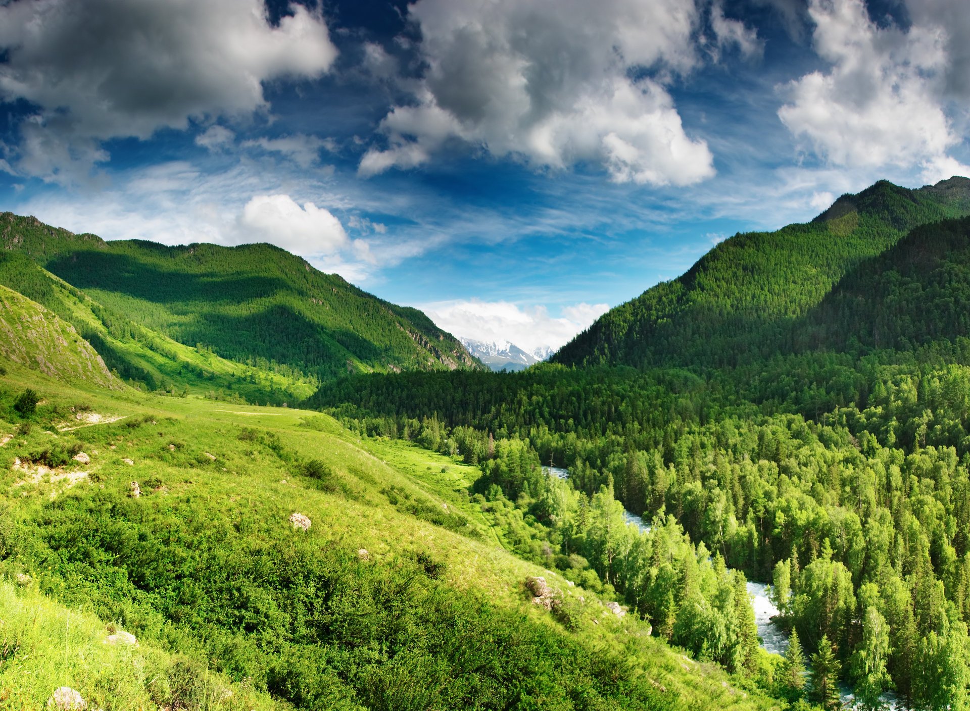 nature montagnes arbres rivière