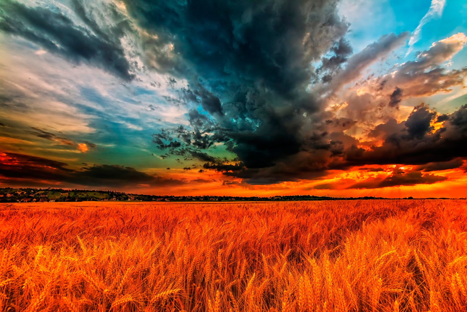 champ épis nuages nuages