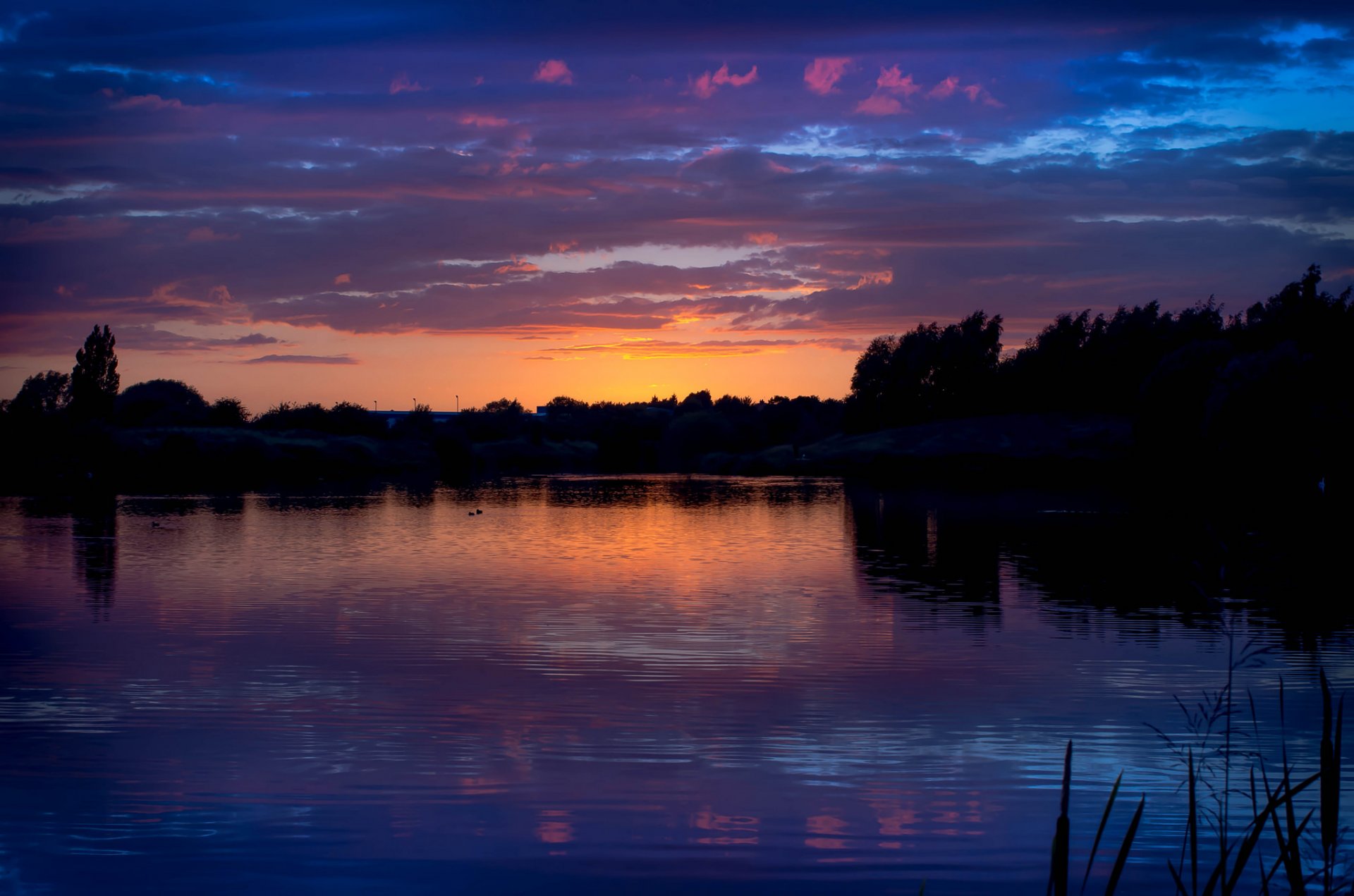 fluss ufer bäume wald sommer natur abend sonnenuntergang himmel wolken