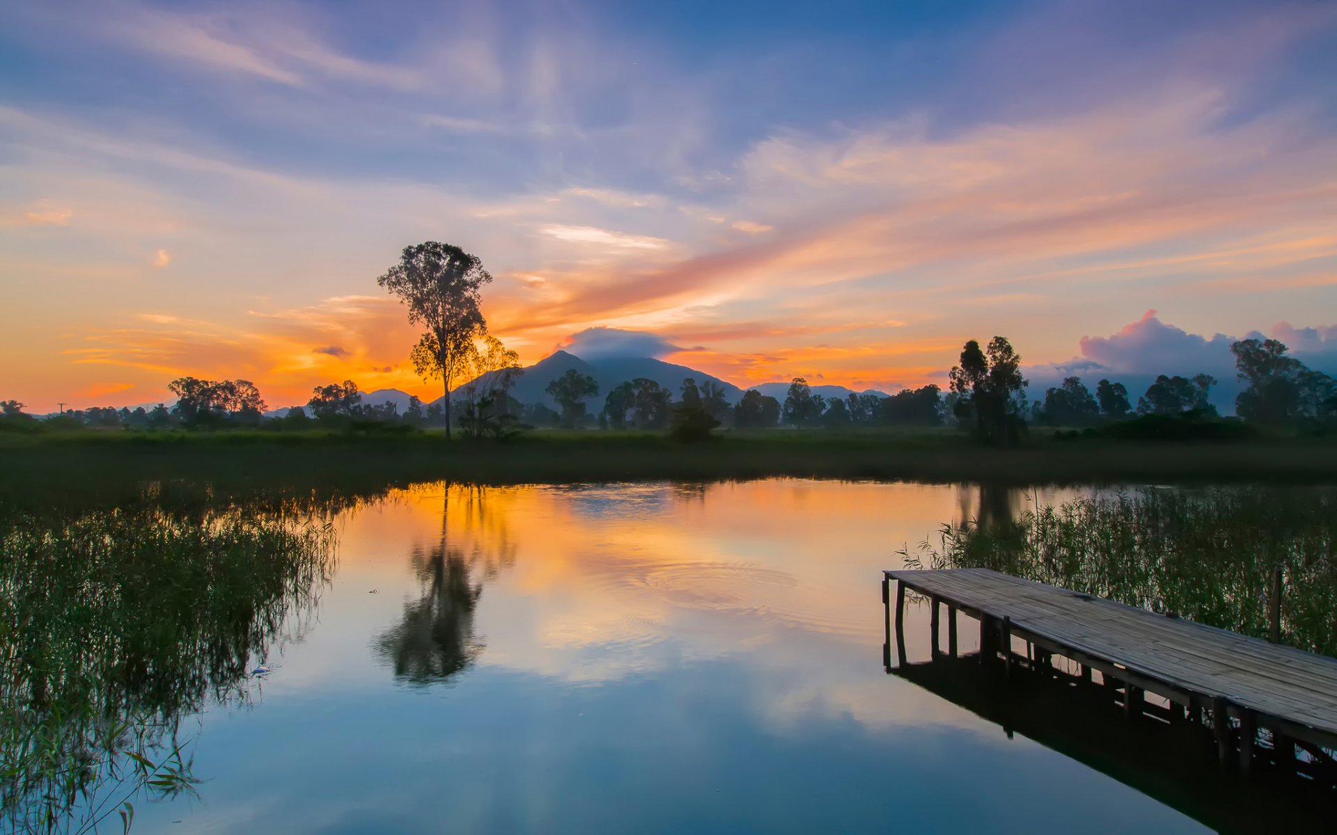 nam sang wai hong kong river beauty