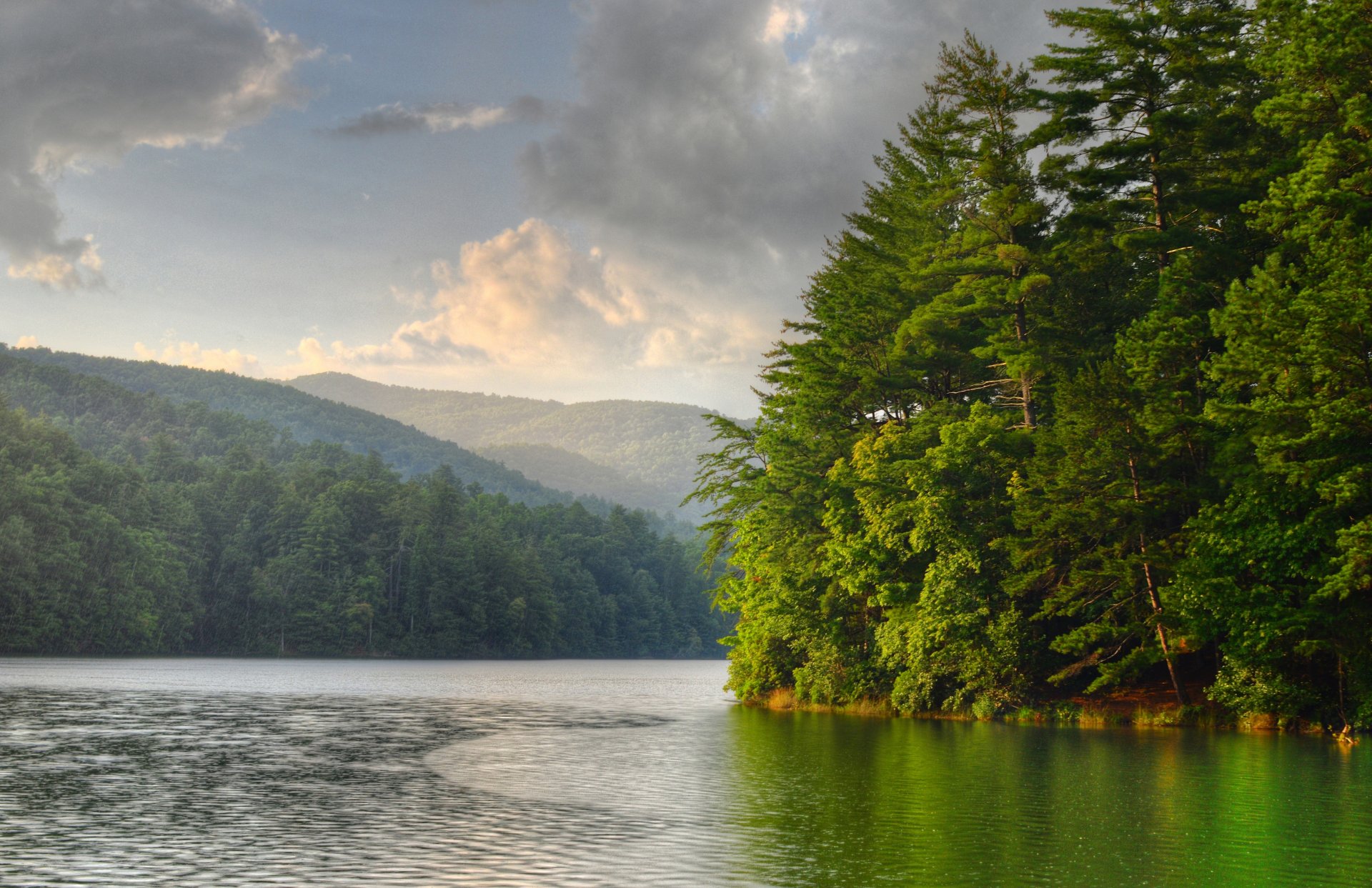 lago bosque mañana