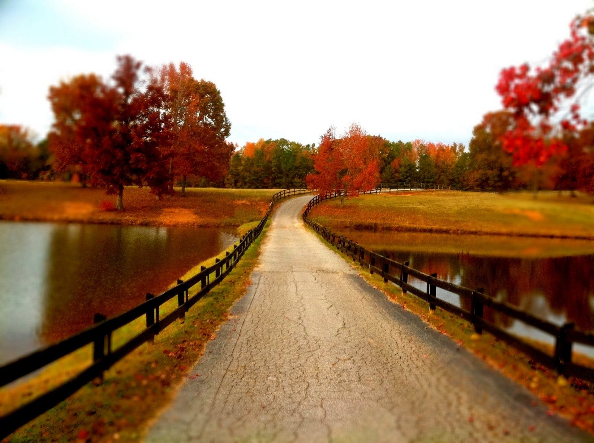 nature river water forest park trees leaves colorful autumn fall colors walk nature mountains sky river