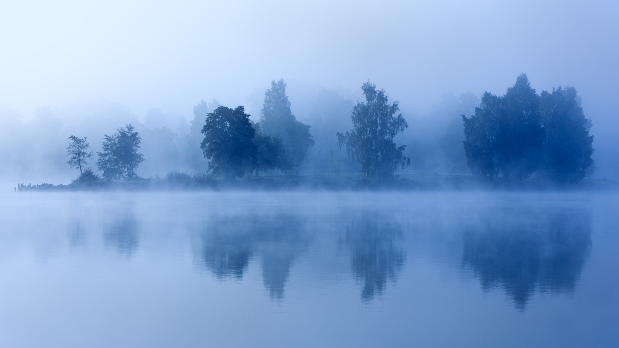 mañana anochecer niebla lago árboles