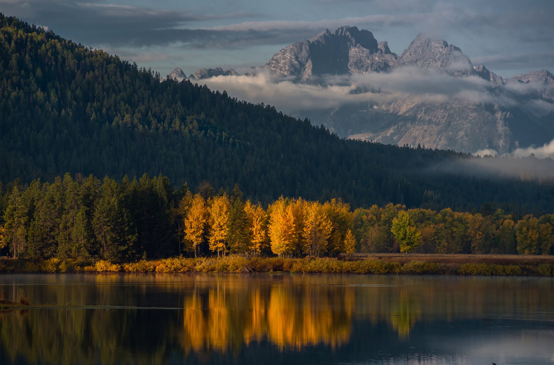 stati uniti wyoming grand teton national park backwaters bend mattina autunno foresta montagna