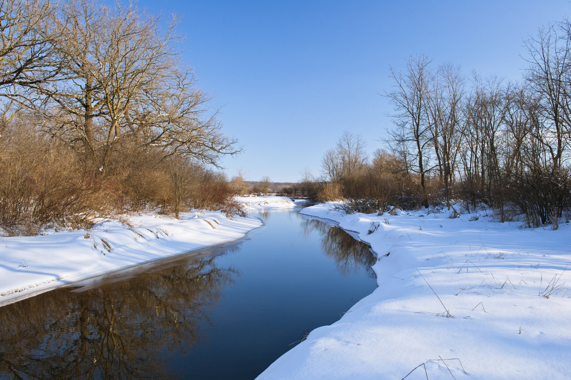 bosque río nieve invierno tranquilidad