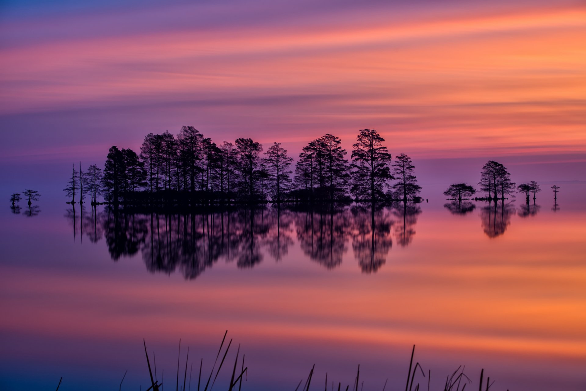 united states north carolina lake tree night sunset sky reflection