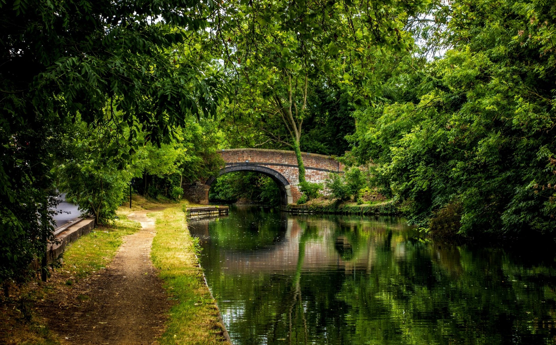 park aleja drzewa las spacer natura rzeka woda widok most odbicie widok