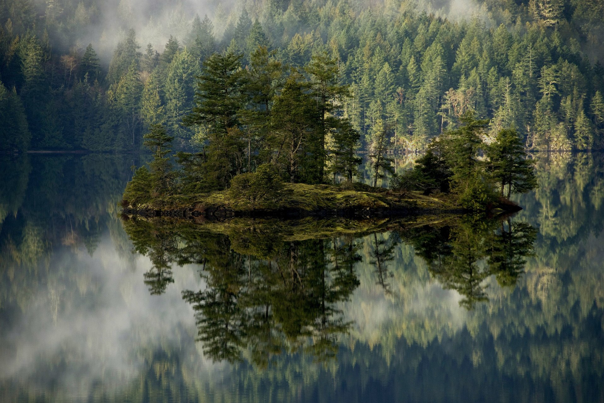 montañas árboles lago isla niebla