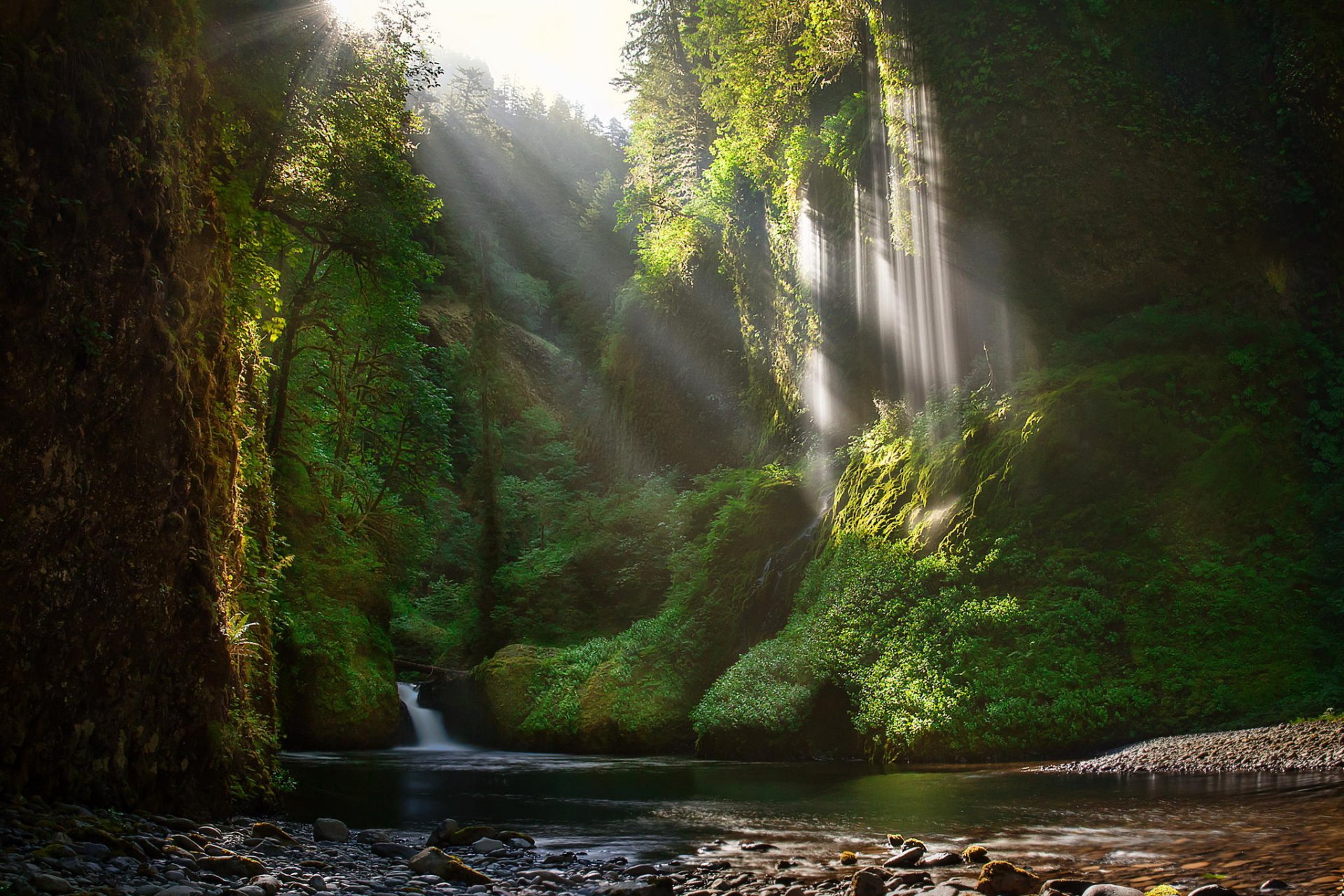 cascata foresta rocce