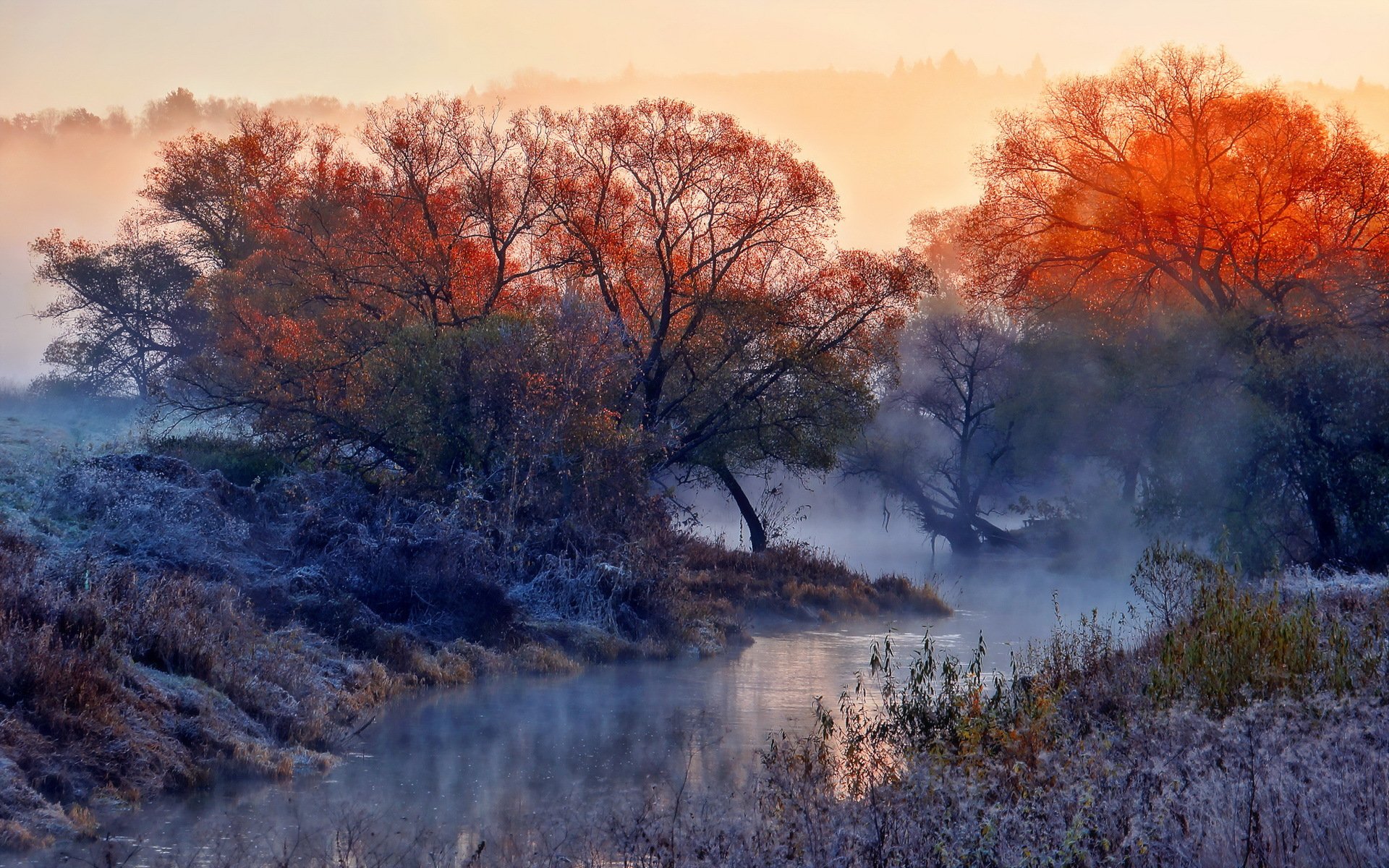 morgen fluss nebel natur