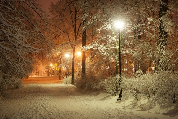 Winter alley covered with snow