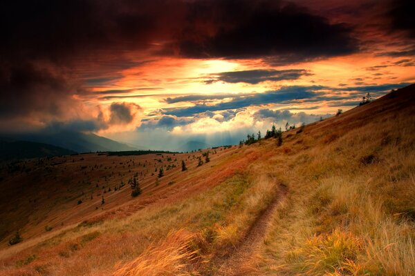 Pendenza con erba gialla su sfondo tramonto