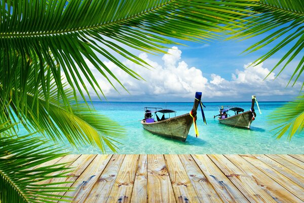 Paysage tropical avec des bateaux et des palmiers