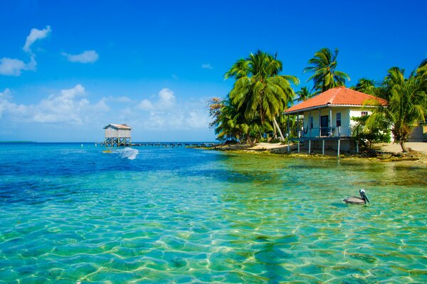 Bungalows on the beach of paradise island