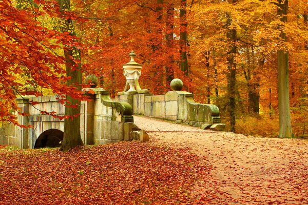 Paesaggio autunnale con ponte antico