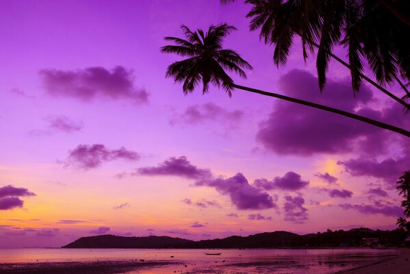 Tropischer Strand bei Sonnenuntergang