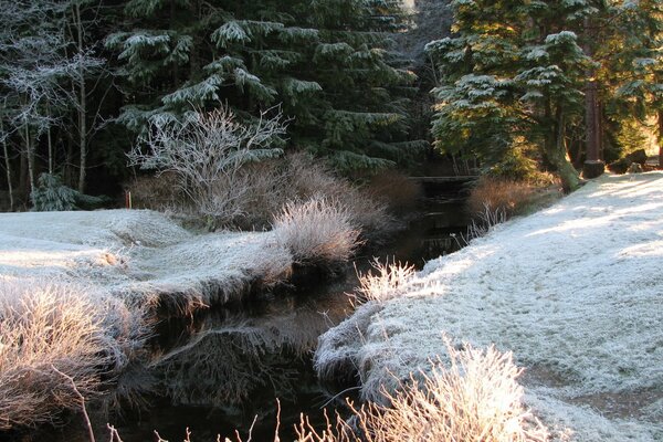 Der erste Schnee. Morgendlicher Frost