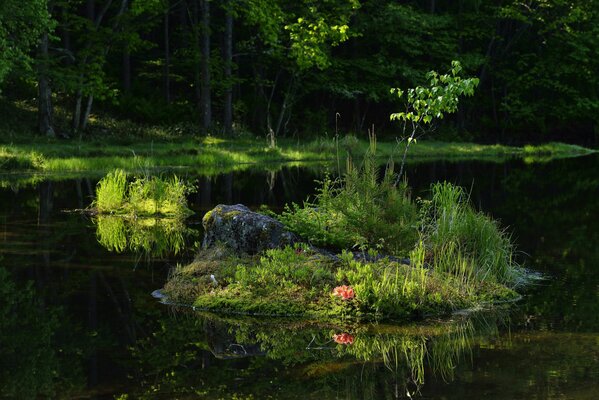 Eine kleine Insel in der Nähe der Küste, die sich im Wasser widerspiegelt