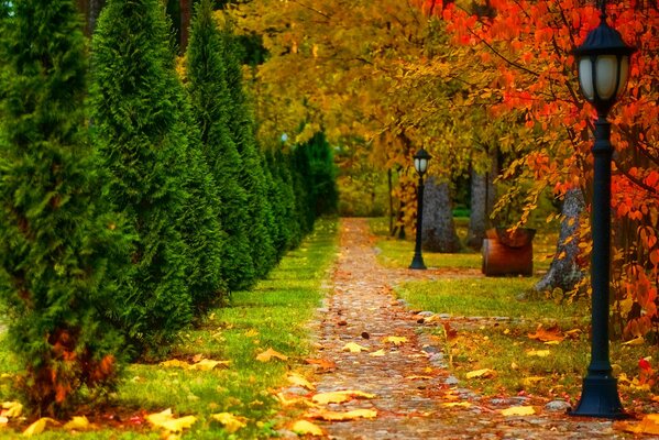 Parc d automne avec feuillus, conifères, lanterne et passerelle