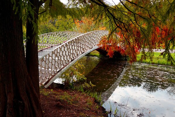 Brücke über den Fluss in einem bunten Park im Herbst