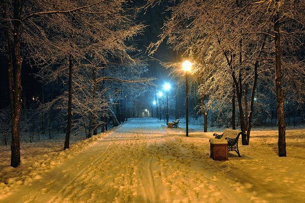 Noche romántica en el parque de invierno en el banco