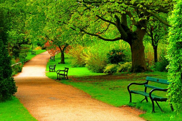 The road in the park, art image