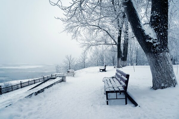 Parc d hiver près de la rivière