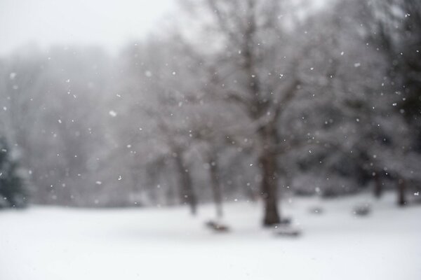 Schneefall. Der erste Schnee. Morgen im Dezember