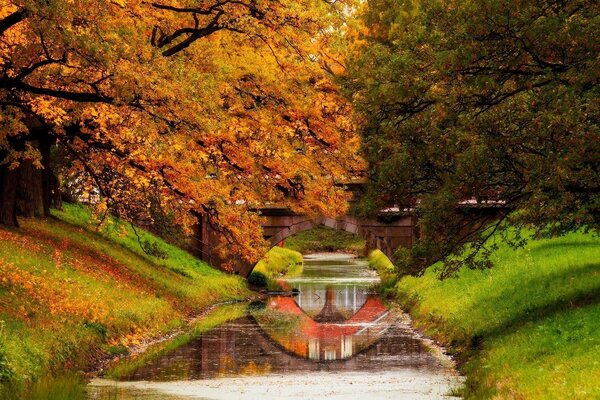 Juicy colors of autumn fallen leaves in the park by the river