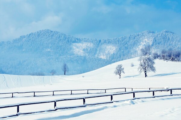 Paysage d hiver et pont sur la rivière