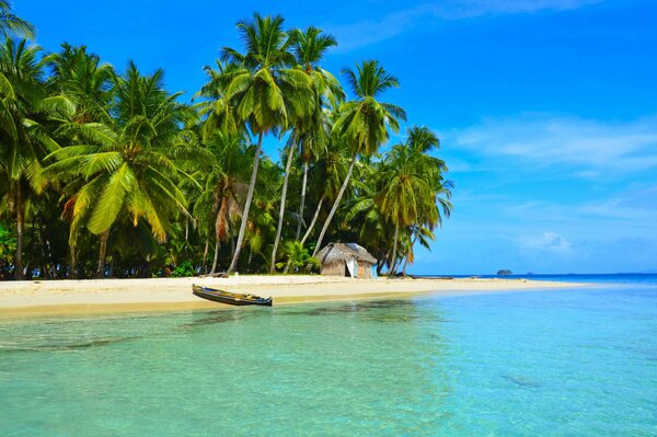 Casa sotto le palme sulla spiaggia ai tropici