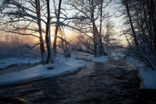 Природа оживает река зимой