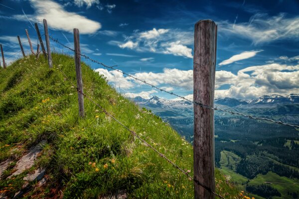 View from the top, fenced with a thorn